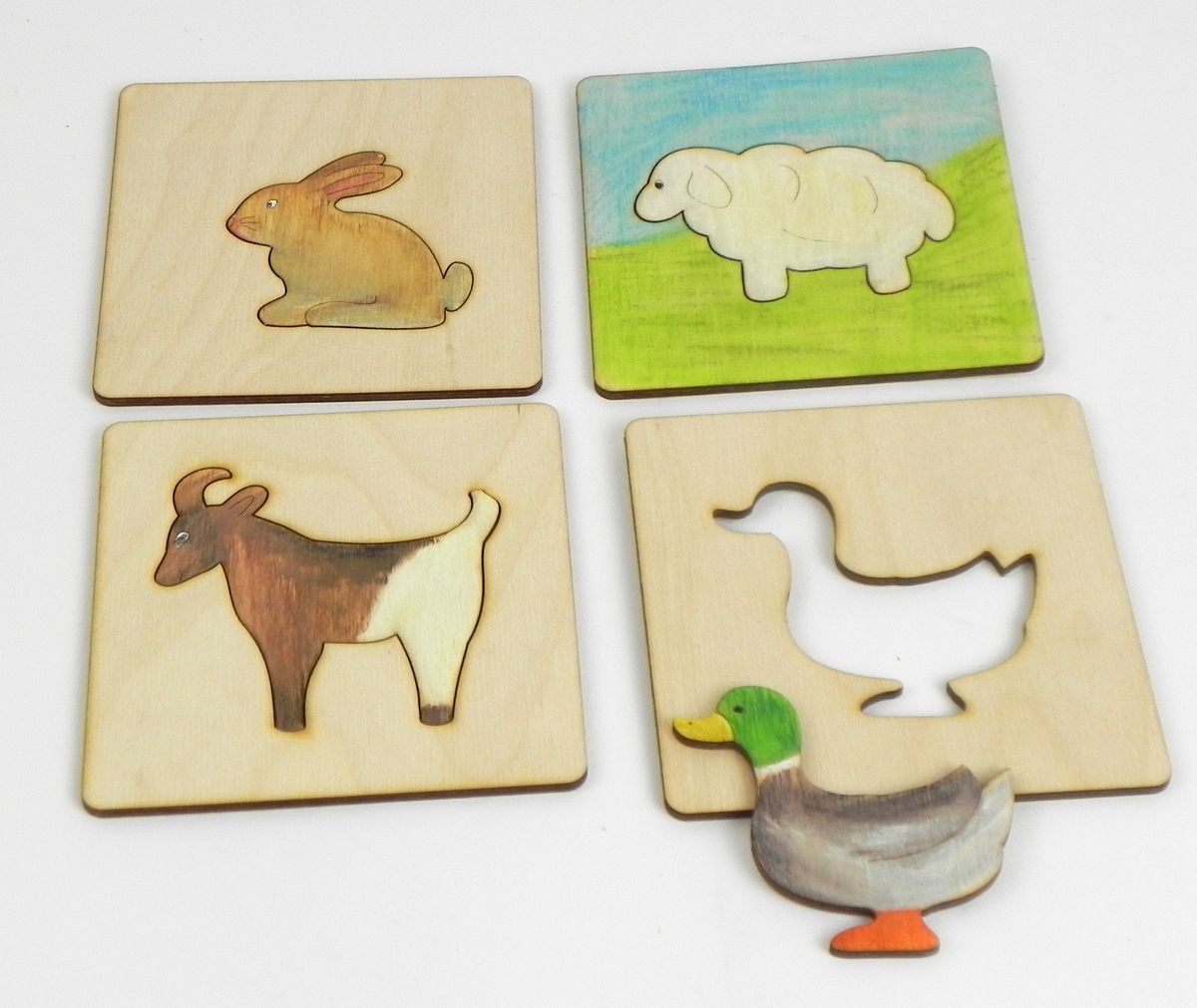 Domácí zvířátka – magnetky se šablonkou